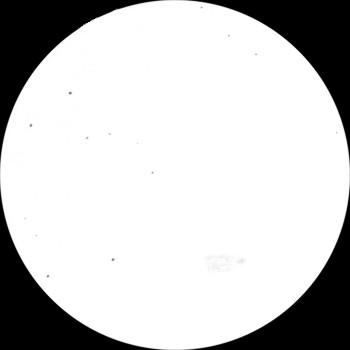 {short description of image}