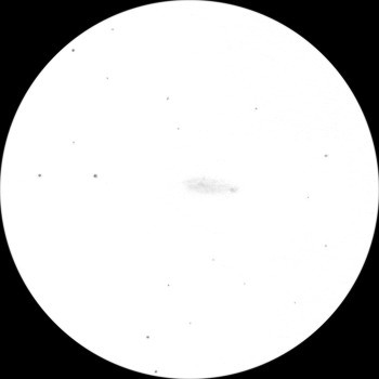 {short description of image}