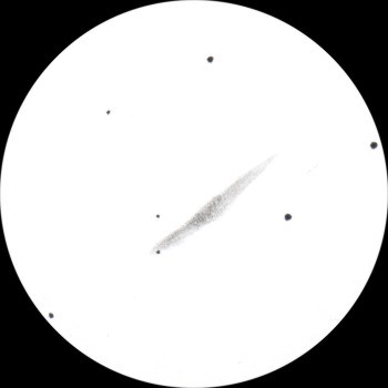 {short description of image}