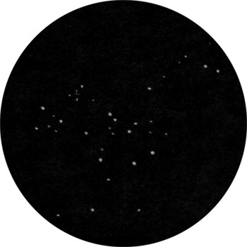 {short description of image}