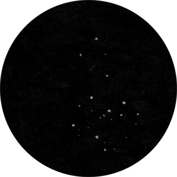 {short description of image}