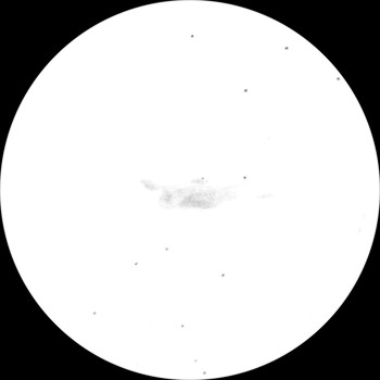 {short description of image}