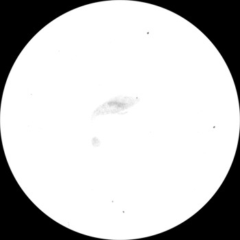 {short description of image}