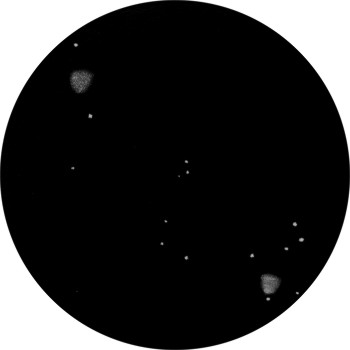 {short description of image}