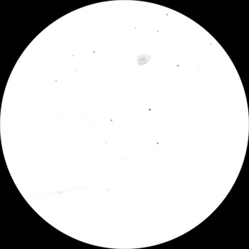 {short description of image}