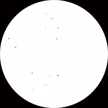 {short description of image}