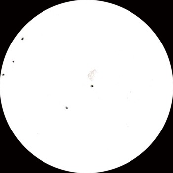 {short description of image}