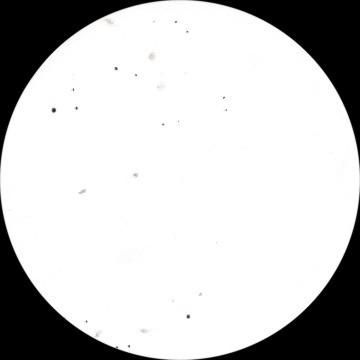 {short description of image}