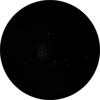 {short description of image}