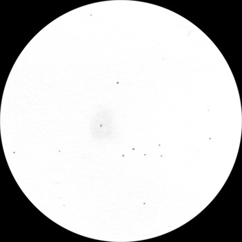 {short description of image}