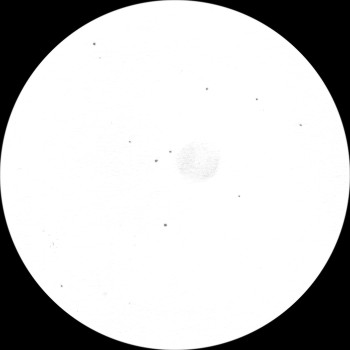 {short description of image}