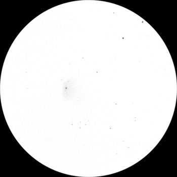 {short description of image}